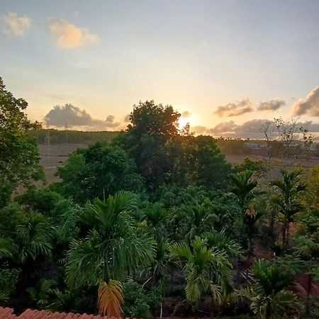 Kamanabillu Homestay, For Jog Falls Travellers Siddapur Εξωτερικό φωτογραφία