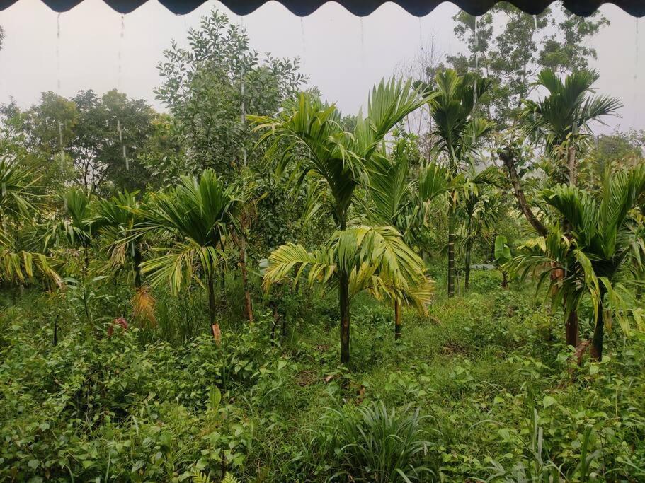 Kamanabillu Homestay, For Jog Falls Travellers Siddapur Εξωτερικό φωτογραφία